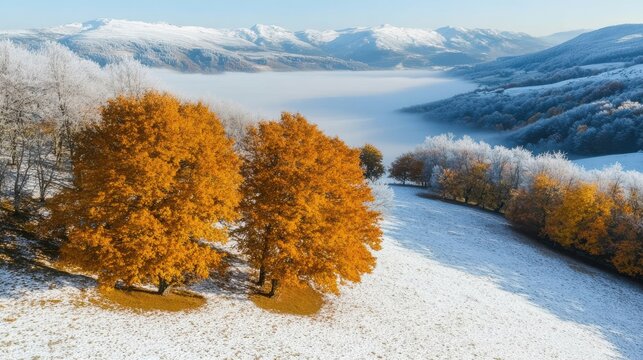 Aerial view of autumn trees and snow-covered landscape with mountains