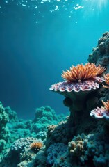 Obraz premium Sunlight filtering through ocean water illuminating vibrant coral reef