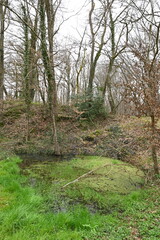chapelle Saint-Mayeul, Le Brethon (03)