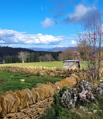 Trockenmauer im Jura