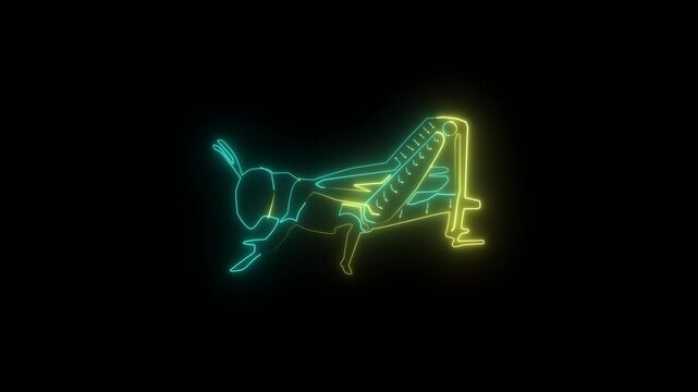 foring neon icon , black background .