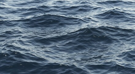 Deep Blue Ocean Waves Texture Sea Surface with Gentle Undulations