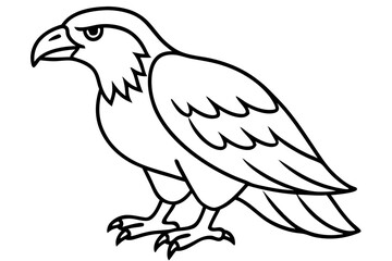Eagle One-Line Sketch