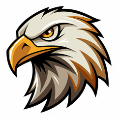 Fototapeta premium american eagle head