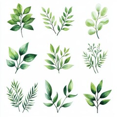 Set of watercolor bouquets of green leaves branches elements. Collection botanical vector isolated on white background suitable for wedding Invitation, save the date, thank you, or greeting card