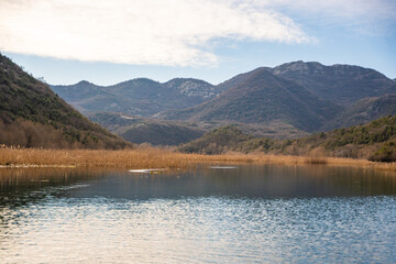 Trees and reeds on River Crnojevica, place near Lake Skadar in Montenegro surrounded by mountain peaks in winter time