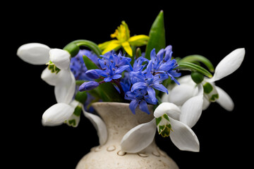 bouquet of spring primroses