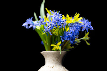 bouquet of spring primroses