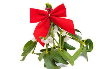 mistletoe branch isolated