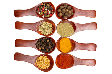 different spices in a wooden spoon