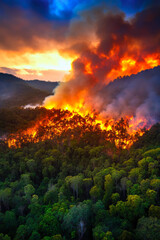 A stunning aerial view of a raging forest fire consuming the trees, surrounded by thick smoke and a dramatic sunset backdrop, highlighting the beauty and destruction of nature.
