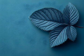 Teal Leaf Illustration Background