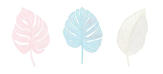 Set  pastel line art abstract botanical wall artworks with a minimalistic monstera leaf illustration