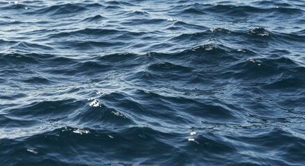 Fototapeta premium Deep Blue Ocean Waves Texture Natural Water Surface Background