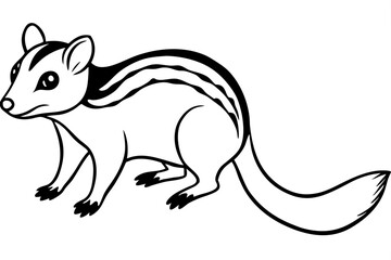 Elegant Quoll Linework