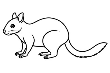 Fototapeta premium Elegant Quoll Linework