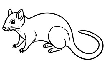 Elegant Quoll Linework