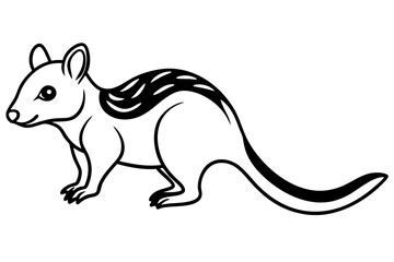 Fototapeta premium Elegant Quoll Linework