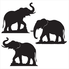 Fototapeta premium set vector various elephant, elephants and tress, Elephant family silhouette, African landscape scene with elephant, elephant in the forest