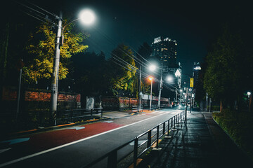 静かな夜の道