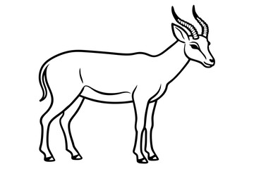 Elegant Saiga Antelope Sketch