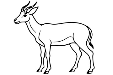 Elegant Saiga Antelope Sketch