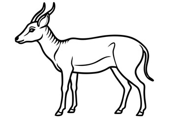 Fototapeta premium Elegant Saiga Antelope Sketch