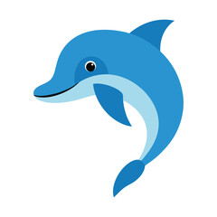 dolphin head vector illustration design