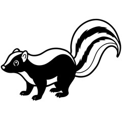 Elegant Skunk Line Drawing