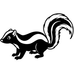Elegant Skunk Line Drawing