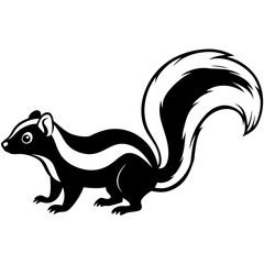 Obraz premium Elegant Skunk Line Drawing