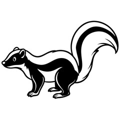 Elegant Skunk Line Drawing
