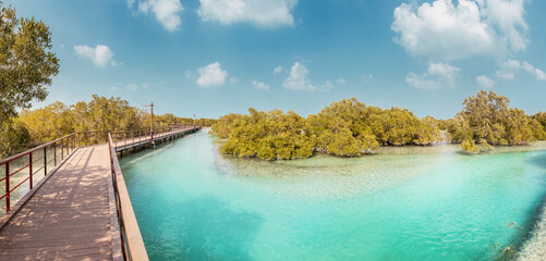 Scenic view of the wooden boardwalk extending through the turquoise waters and lush mangroves, a serene oasis in Abu Dhabi