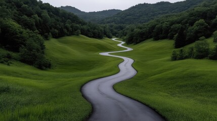 Winding road through lush green hills (1)