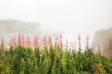 Mglisty krajobraz w g&oacute;rach