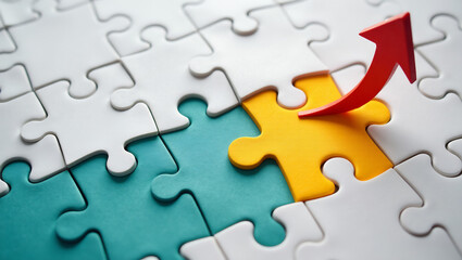 The Economic Recovery Puzzle