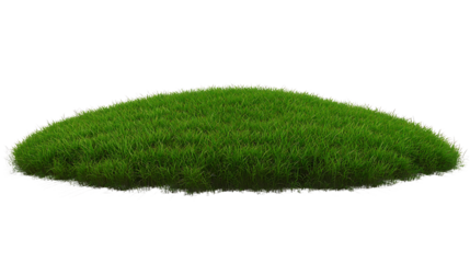 A lush, green grass mound isolated on a white background, digitally rendered.