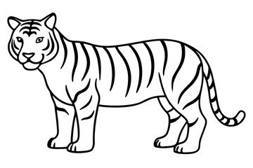 Elegant Tiger Sketch