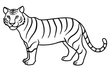 Elegant Tiger Sketch