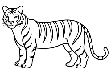 Fototapeta premium Elegant Tiger Sketch