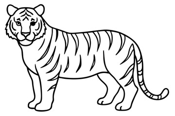 Elegant Tiger Sketch