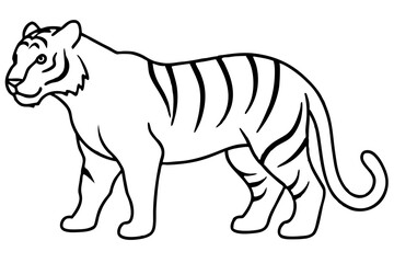 Elegant Tiger Sketch