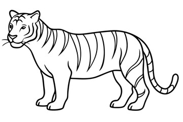 Fototapeta premium Elegant Tiger Sketch