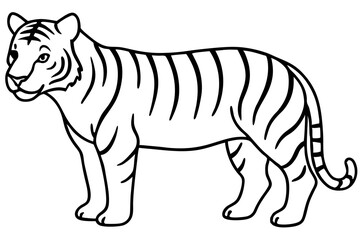 Elegant Tiger Sketch