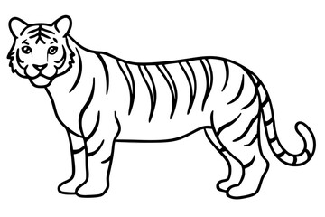 Elegant Tiger Sketch