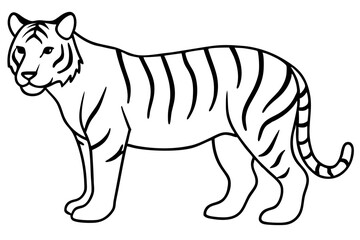 Fototapeta premium Elegant Tiger Sketch
