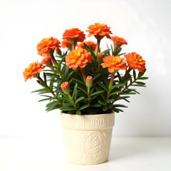 bouquet of flowers