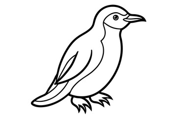 Obraz premium Minimalist Rockhopper