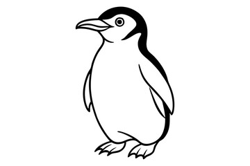 Minimalist Rockhopper