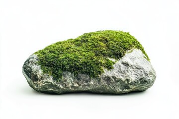 natural rock covered with lush green moss isolated on white background. nature and organic concept. environmental design, landscaping, zen garden concept